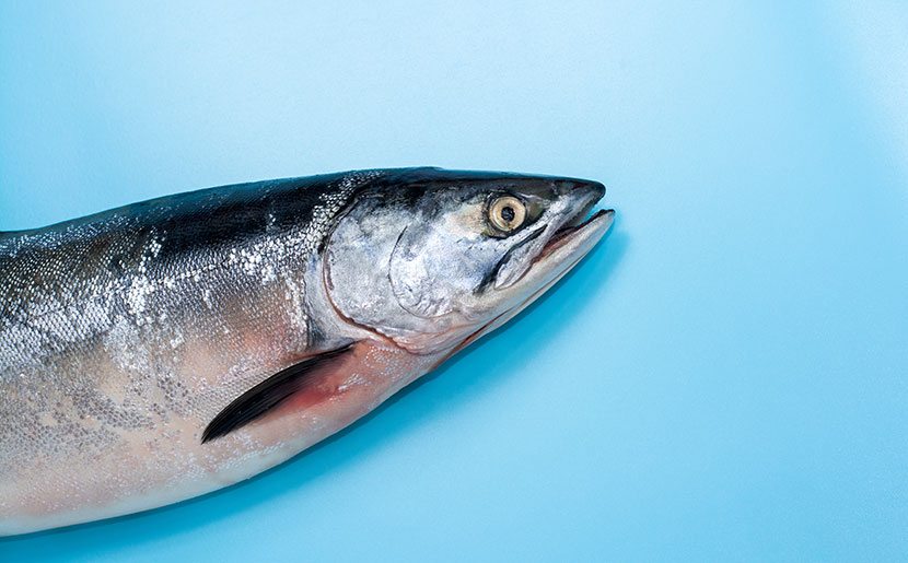 como baixar o colesterol - peixe